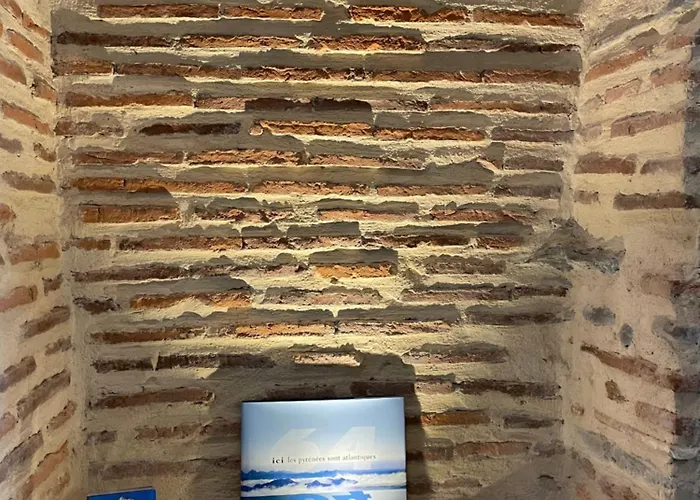 Loft De Charme En Centre-ville * Pau